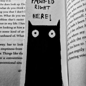 You PAWS-ED right here